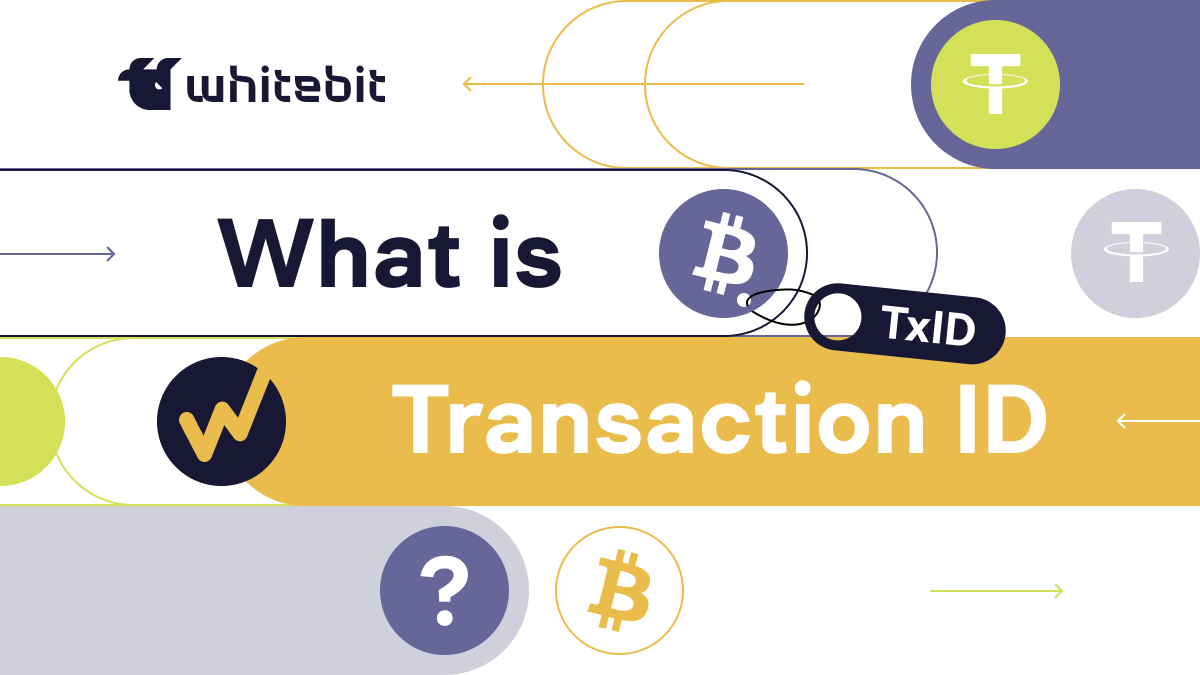 What is TxID in Crypto: Blockchain Transaction ID Meaning | WhiteBIT AU ...