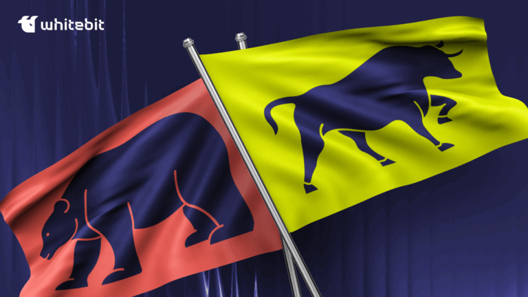 Up or Down: All You Need to Know About Bull and Bear Markets