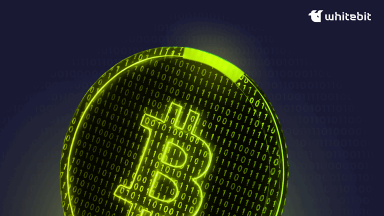 What is a White Paper in Crypto, and Why is it Important?
