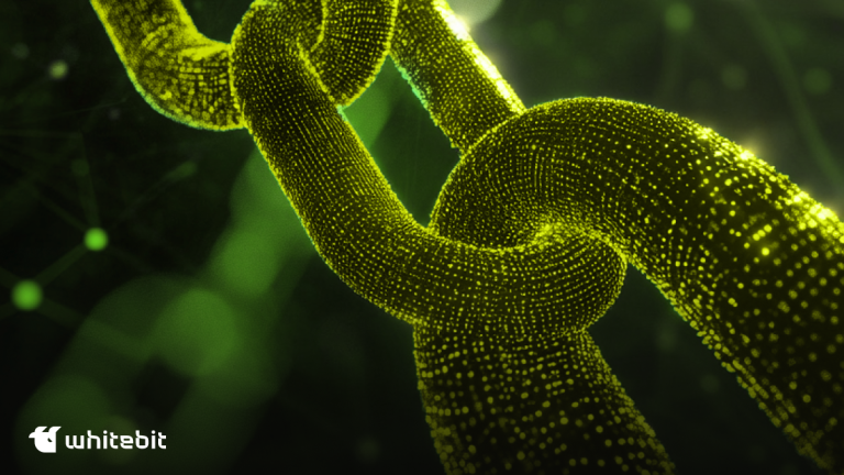 What Is an Appchain (Application Specific Blockchain)