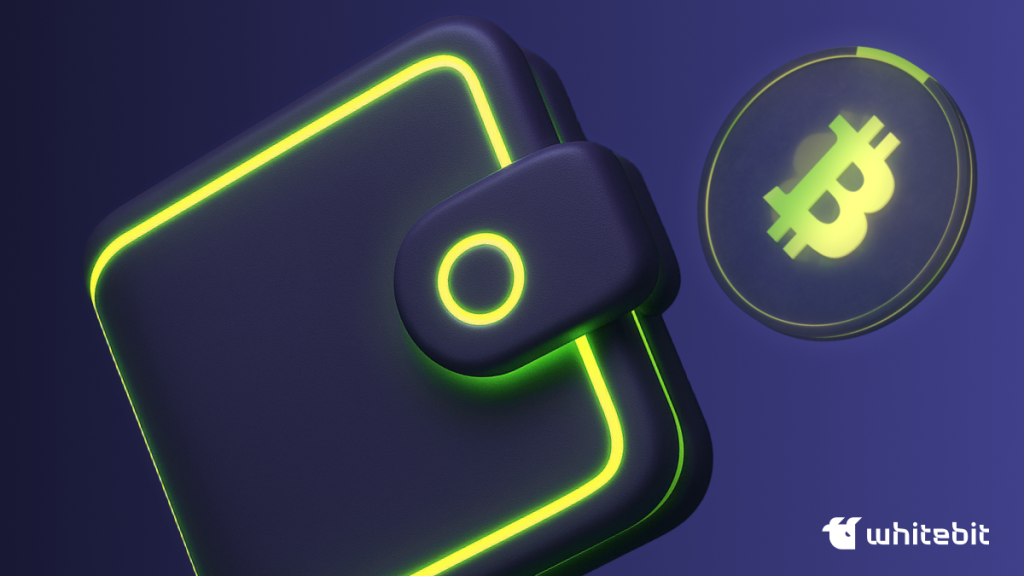 How to Make a Cryptocurrency Wallet?